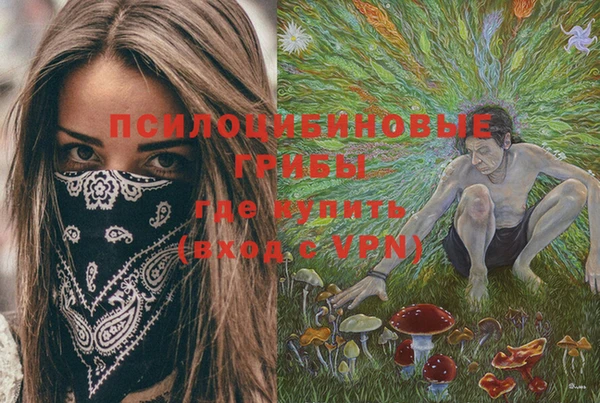 MESCALINE Нефтекумск