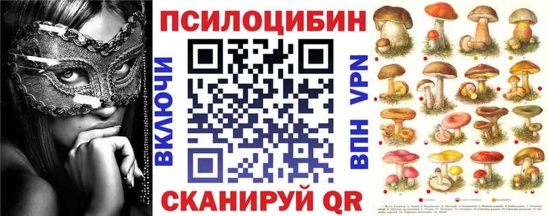 нарко площадка Telegram  где продают наркотики  Почеп  Псилоцибиновые грибы прущие грибы 